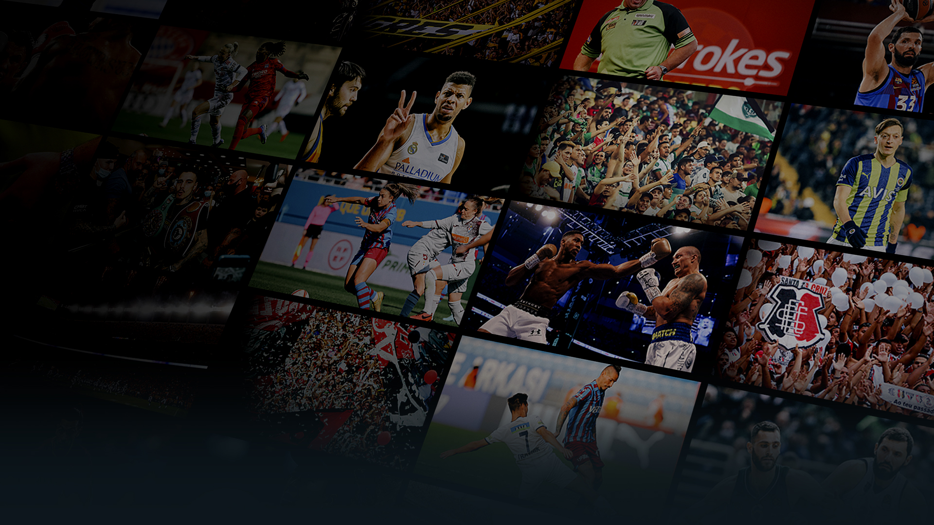 live sports streaming