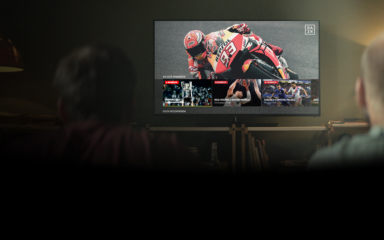 Grid showing sports played in multiple leagues