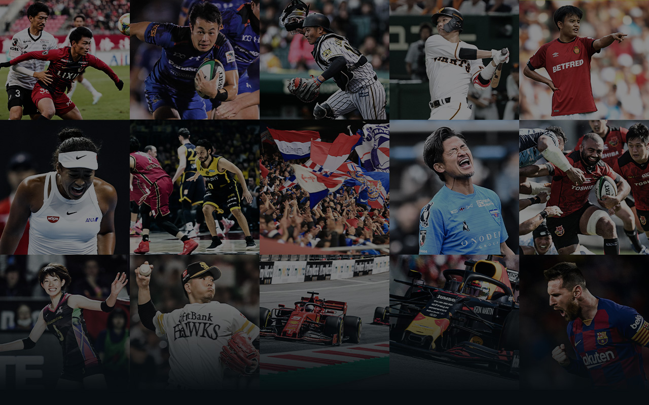 JP Grid showing sports played in multiple leagues