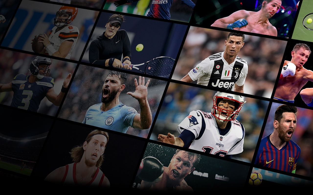 DE Grid showing sports played in multiple leagues